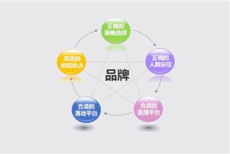 广告策划公司的角色与重要性